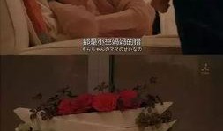 娱乐吃瓜酱人贩子小说,一场惊心动魄的悬疑大剧