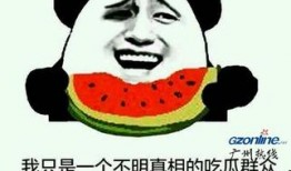 吃瓜群众啥意思呀,网络时代的围观者心态解析