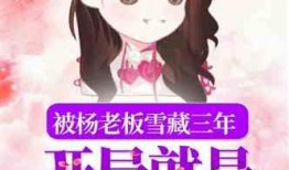 娱乐吃瓜酱接亲小说在线阅读,接亲小说里的甜蜜纠葛