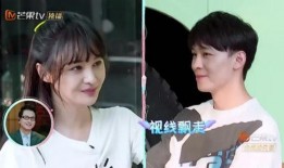 吃瓜娱乐圈郑爽完整版,郑爽事件全解析