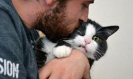 吃瓜娱乐的喵哥是谁啊图片,吃瓜娱乐界的神秘喵星人