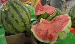 吃瓜娱乐指南,吃瓜指南，轻松解锁明星幕后故事