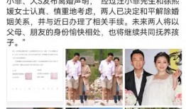 2024年度吃瓜娱乐圈,瓜田李下，明星风云录