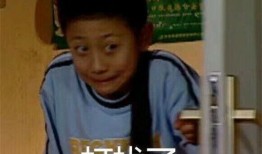 娱乐吃瓜酱 男朋友,背后的故事与甜蜜瞬间