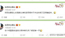 吃瓜娱乐指南,吃瓜指南，轻松解锁明星幕后故事