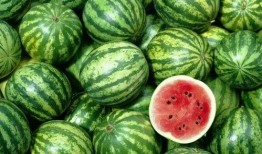 娱乐吃瓜酱300块,娱乐吃瓜酱背后的故事