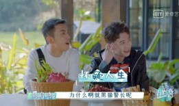 娱乐吃瓜酱拐卖,拐卖事件背后的惊人真相