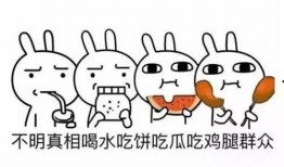 吃瓜群众啥意思呀,网络时代的围观者心态解析