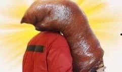 女人说吃瓜是什么意思,“吃瓜”背后的网络流行语内涵