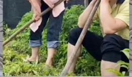 吃瓜群众的娱乐八卦