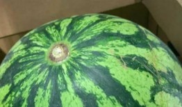 娱乐吃瓜真的假的,真假难辨，揭秘明星幕后故事