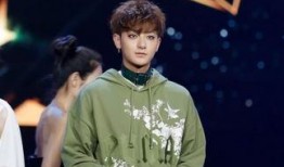 娱乐吃瓜君徐艺洋,娱乐吃瓜界的风云人物