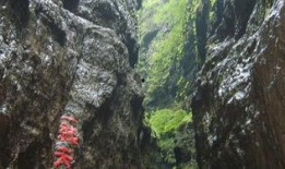 娱乐718吃瓜第一线天,揭秘“吃瓜第一线”幕后故事