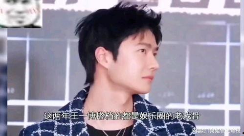 娱乐吃瓜小说,瓜田里的秘密风云录