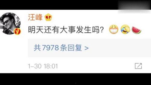 娱乐圈靠续费吃瓜在线观看,续费成瘾，吃瓜观众在线狂欢